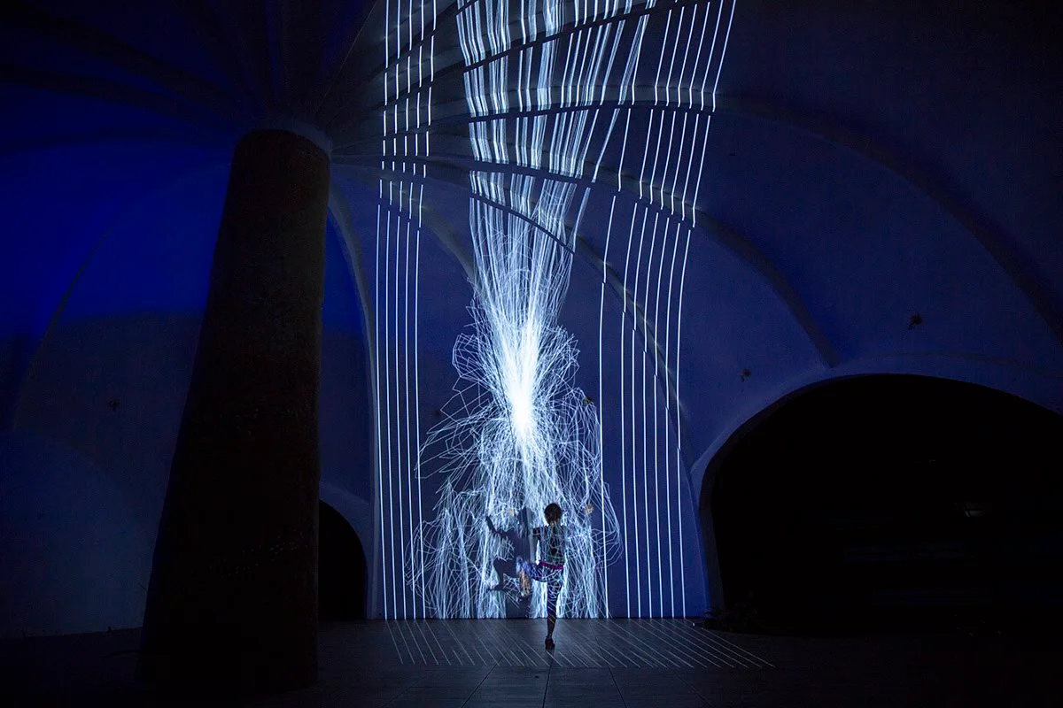 Cultura Guacamaya Gallery Asset 5