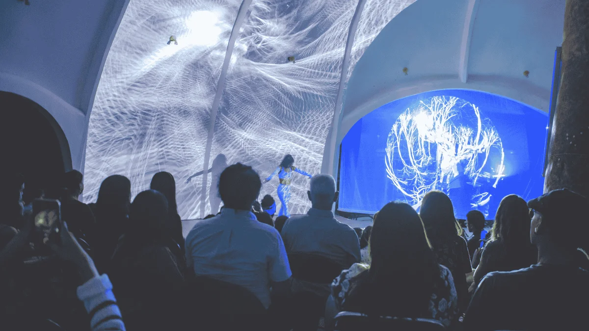 Cultura Guacamaya Gallery Asset 6